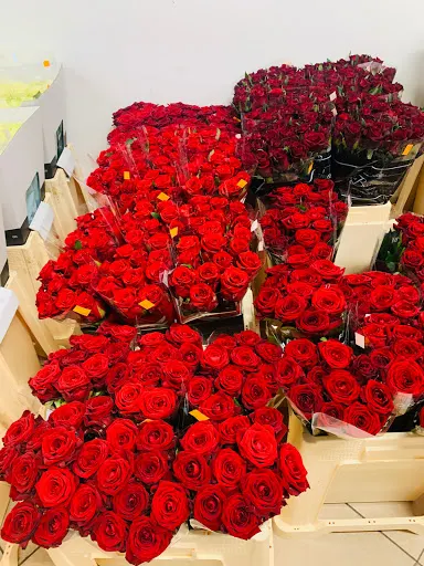 Hurtownia Kwiatów Kwiaty Cięte i Doniczkowe - Zamość Centrum Kwiatowe